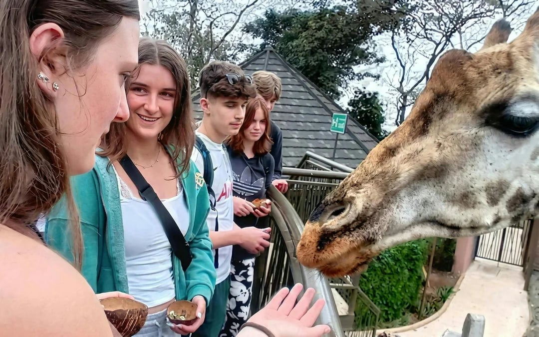 Nairobi: Guided Giraffe Centre & Kazuri Beads Factory Visit Excursion Image 5