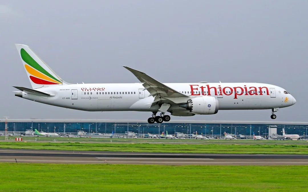 Nairobi Private Layover Tour With Jomo Kenyatta Airport Pickup and Drop-Off Image 1