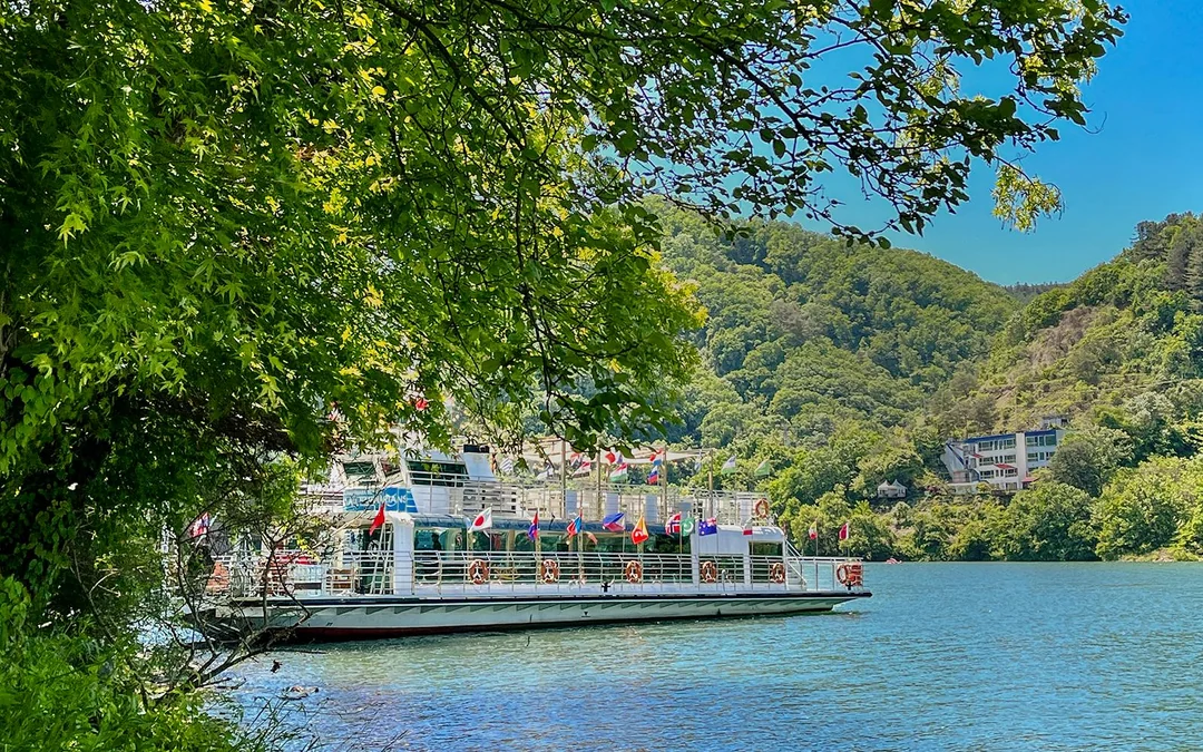 Nami Island Admission Ticket with Transfers Image 2
