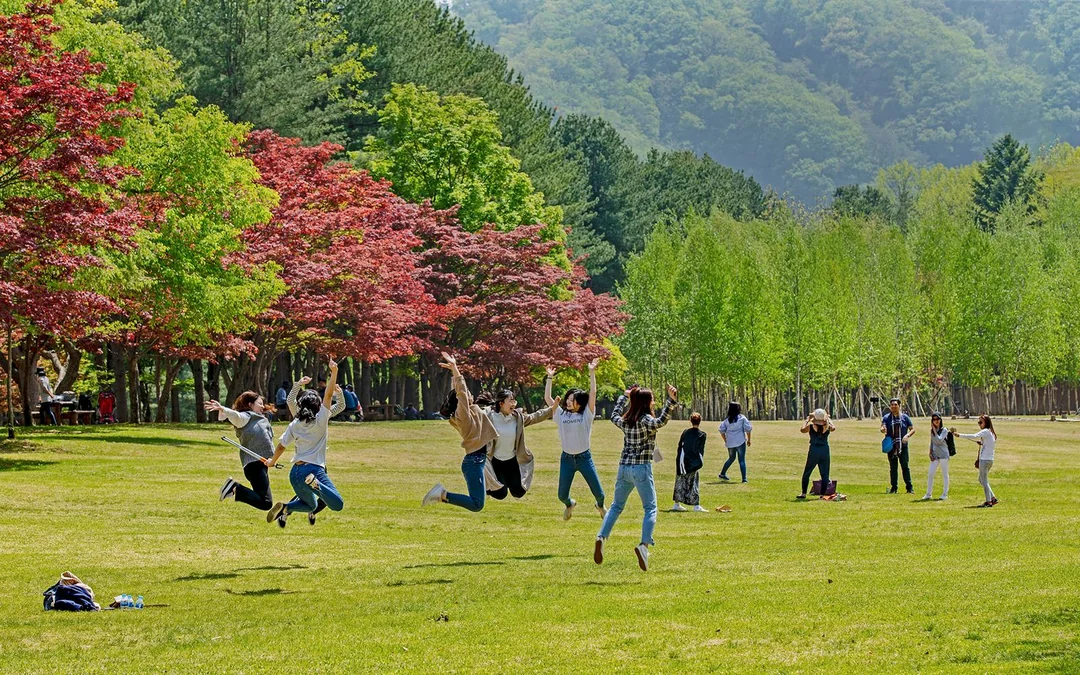 Nami Island Admission Ticket with Transfers Image 5