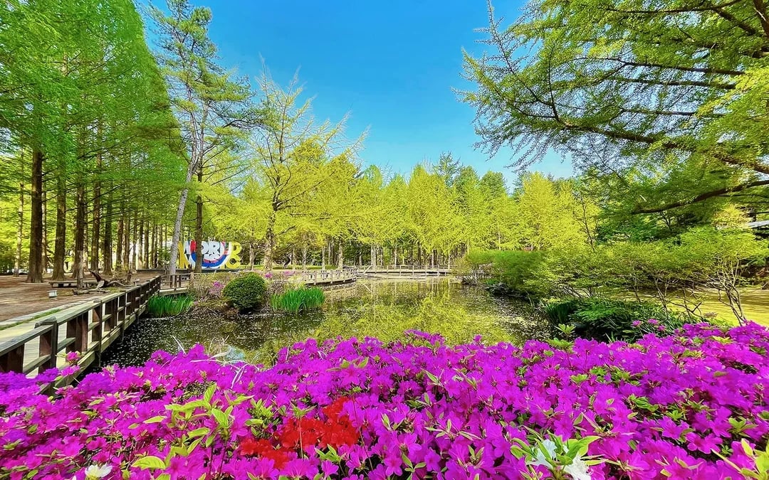 Nami Island Admission Ticket with Transfers Image 9