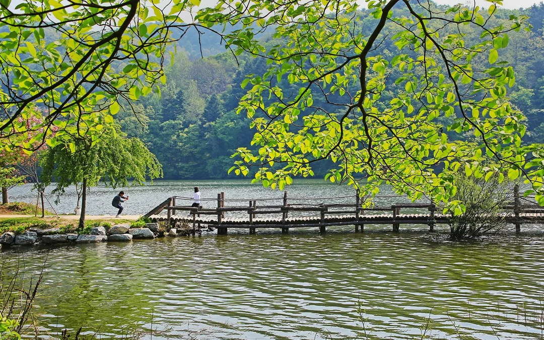 Nami Island Admission Ticket with Transfers Image 10