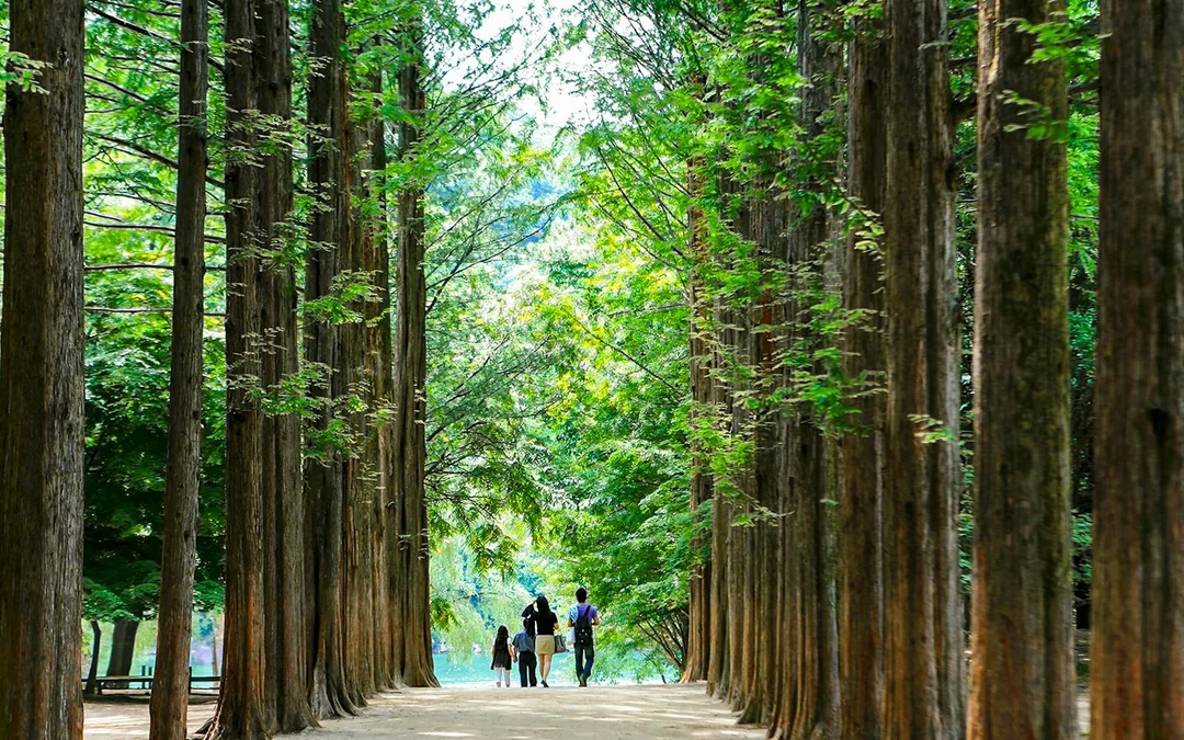 Nami Island & Mount Seorak Day Tour Image 1