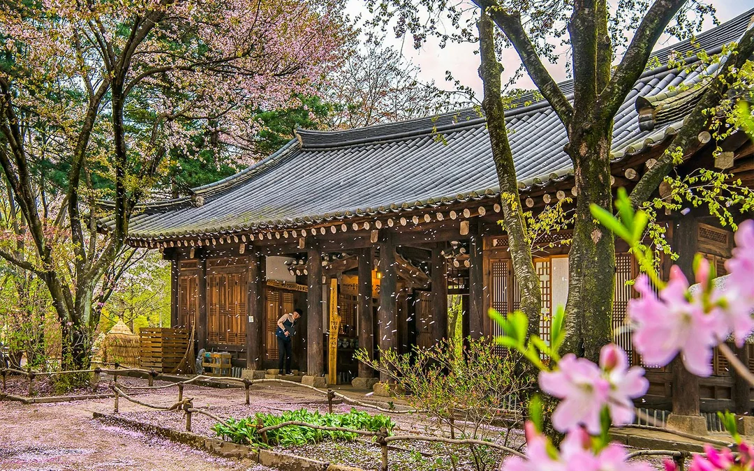 Nami Island & Mount Seorak Day Tour Image 2