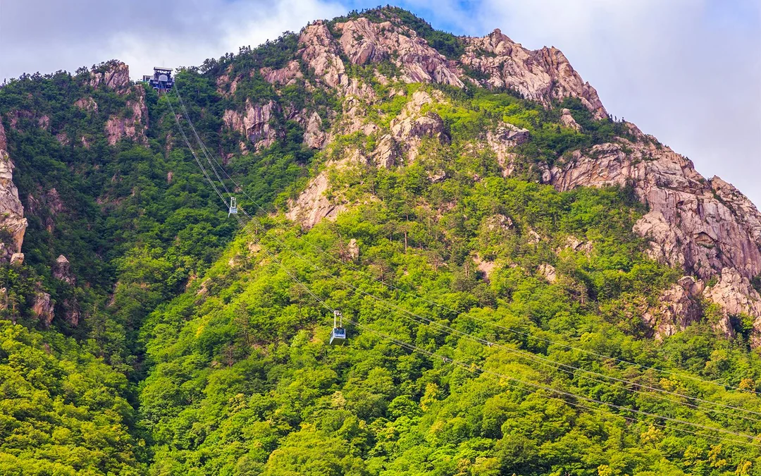 Nami Island & Mount Seorak Day Tour  Image 3