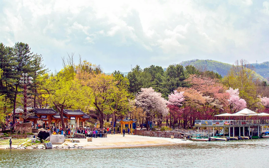 Nami Island Day Tour with Gangchon Rail Bike  Image 3