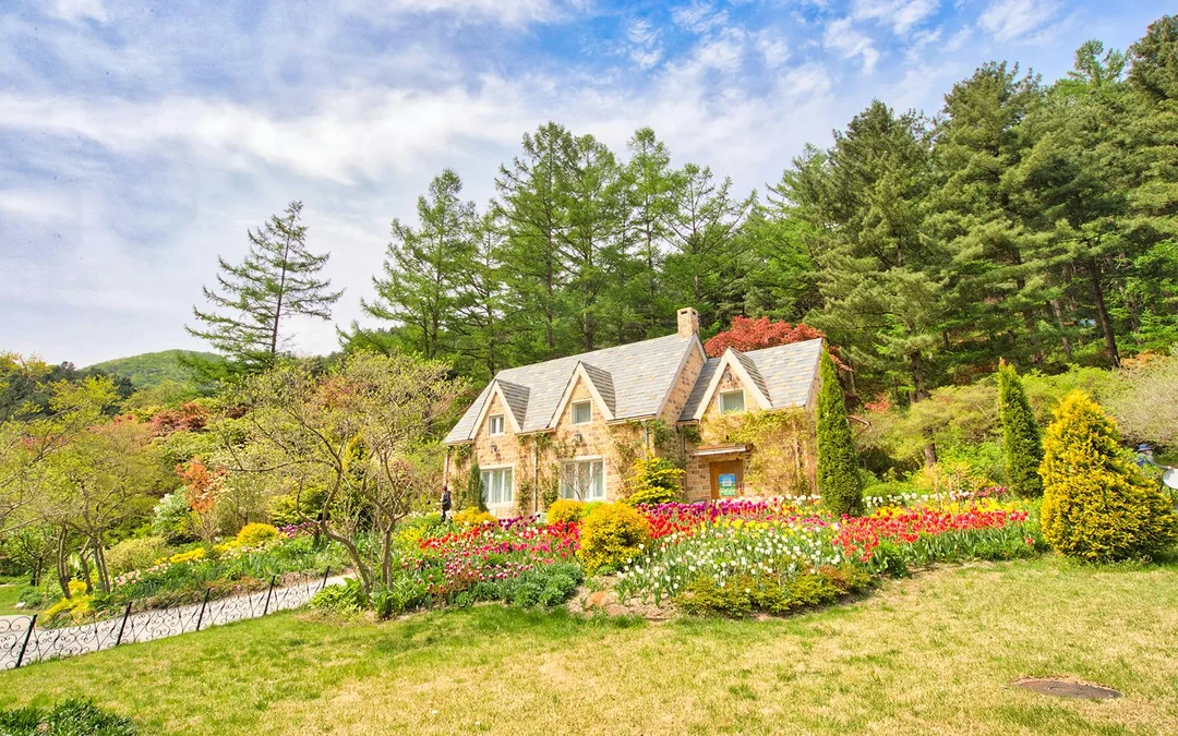 Nami Island Nature Exploration Day Tour with Garden of Morning Calm  Image 5