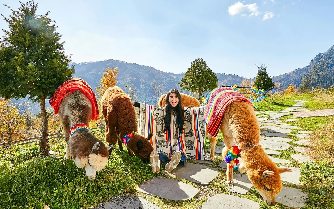 Nami Island Wildlife Exploration Day Tour with Alpaca World Image 1