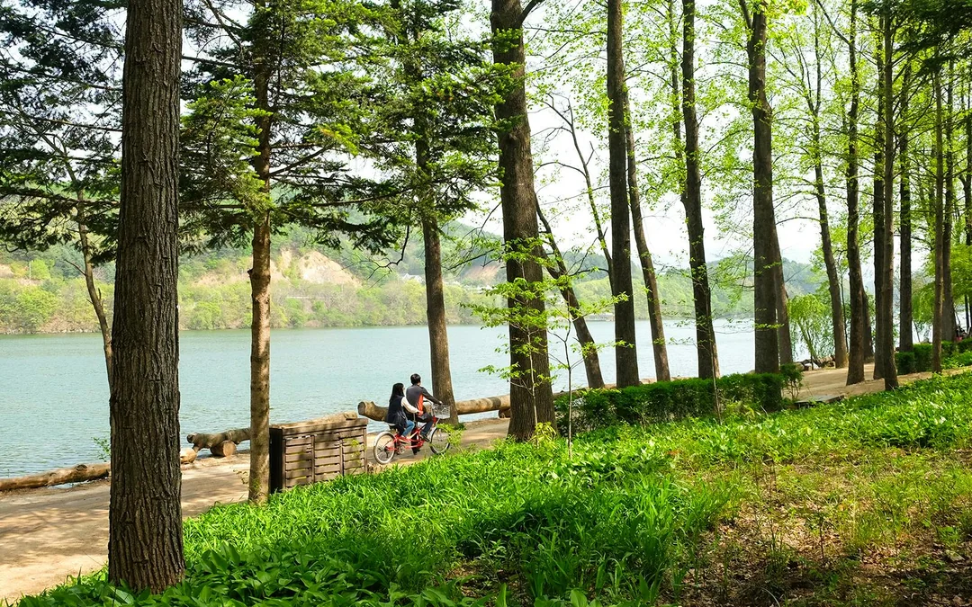 Nami Island Wildlife Exploration Day Tour with Alpaca World Image 2