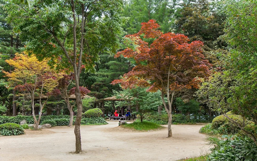 Nami Island Wildlife Exploration Day Tour with Alpaca World Image 12