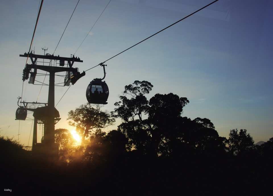 Nantou｜Sun Moon Lake Pass, Includes Sun Moon Lake Cable Car Ticket, Lake Cruise Ticket, and Bicycle Rental Voucher