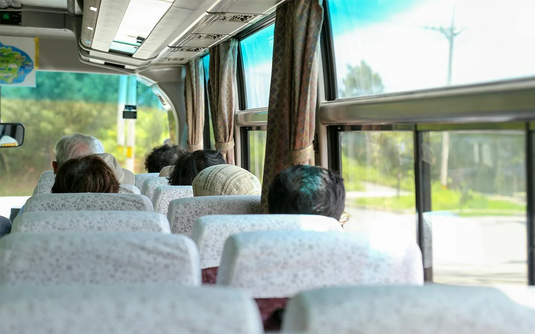 Nara and Kyoto One-Day Bus Tour Image 5