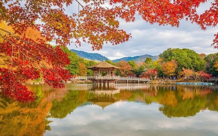 Nara Cross Bike Highlights tour - Todaiji, Park, Deer, Kasuga, knives, fun times Image 4