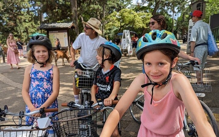 Nara E-Bike Guided Tour of Todaiji, Deer Park, Shrines, and Local Backstreets Image 4