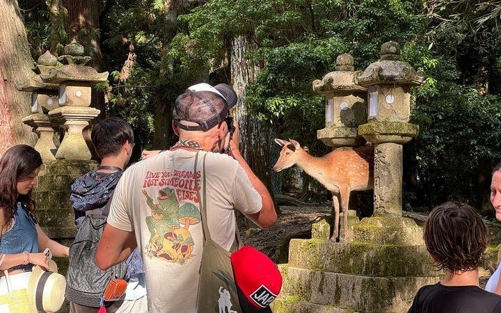 Nara: Half-Day Private Tour of 4 Must-See Spots & Deer Park Image 1