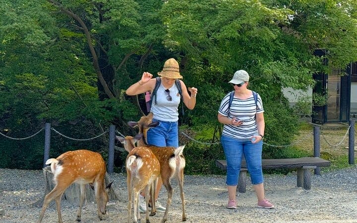 Nara: Half-Day Private Tour of 4 Must-See Spots & Deer Park Image 3