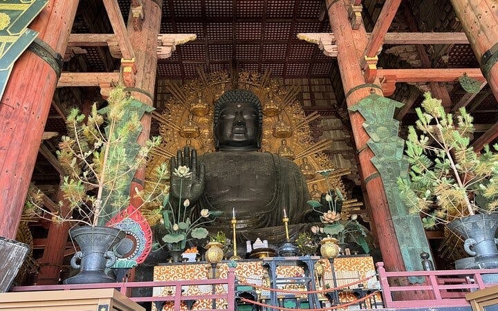 Nara: Half-Day Private Tour of 4 Must-See Spots & Deer Park Image 7