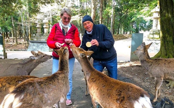 Nara: Half-Day Private Tour of 4 Must-See Spots & Deer Park Image 8