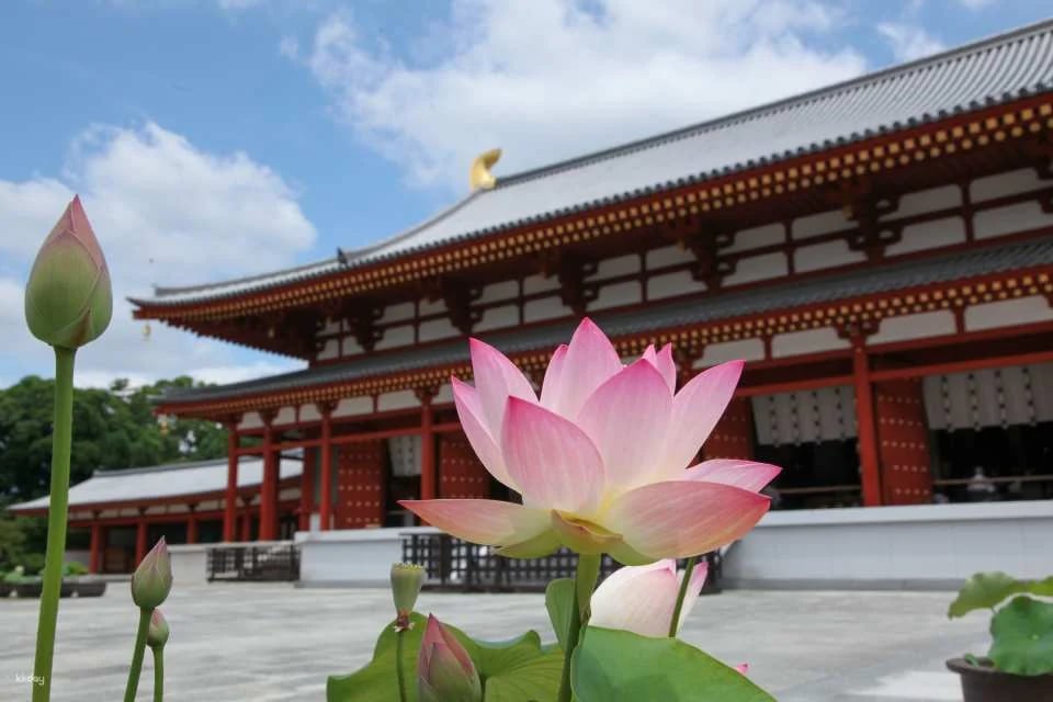 Nara, Japan｜Nishikyo Renhuaji Temple Pass (Saidaiji Temple, Kikoji Temple, Toshodaiji Temple, Yakushiji Temple)