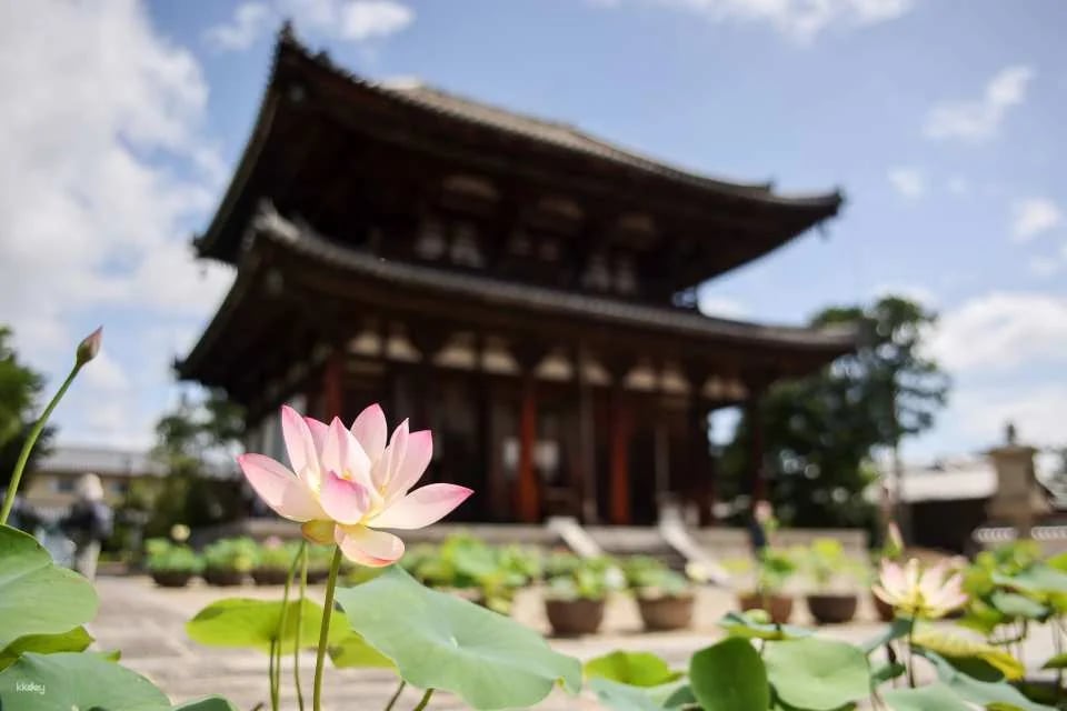 Nara, Japan｜Nishikyo Renhuaji Temple Pass (Saidaiji Temple, Kikoji Temple, Toshodaiji Temple, Yakushiji Temple)