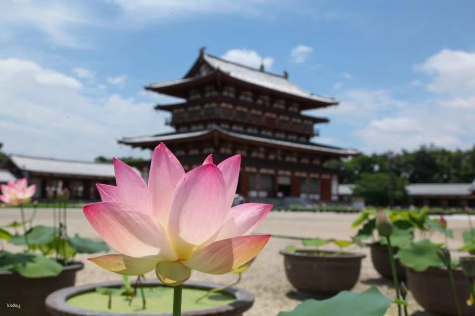 Nara, Japan｜Nishikyo Renhuaji Temple Pass (Saidaiji Temple, Kikoji Temple, Toshodaiji Temple, Yakushiji Temple)