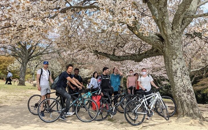 Nara - Private Cross Bike tour, Hidden temple, Nature, ancient Sites, and sport Image 7
