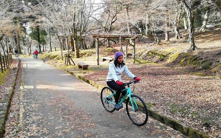 Nara Private Family Cross Bike Tour with Lunch Image 6