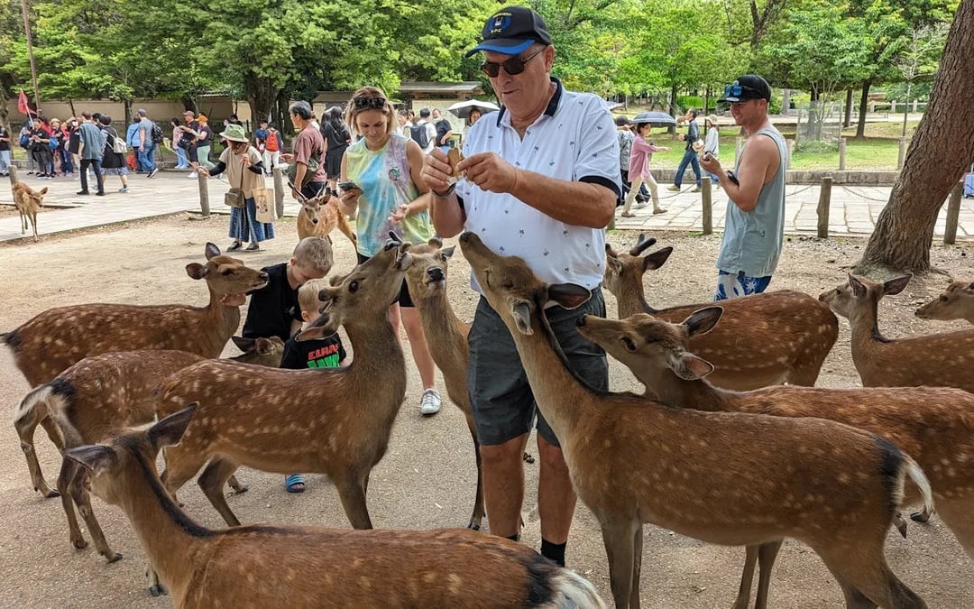 Nara Private Family E-Bike Tour with Lunch and Child Seats Included Image 1