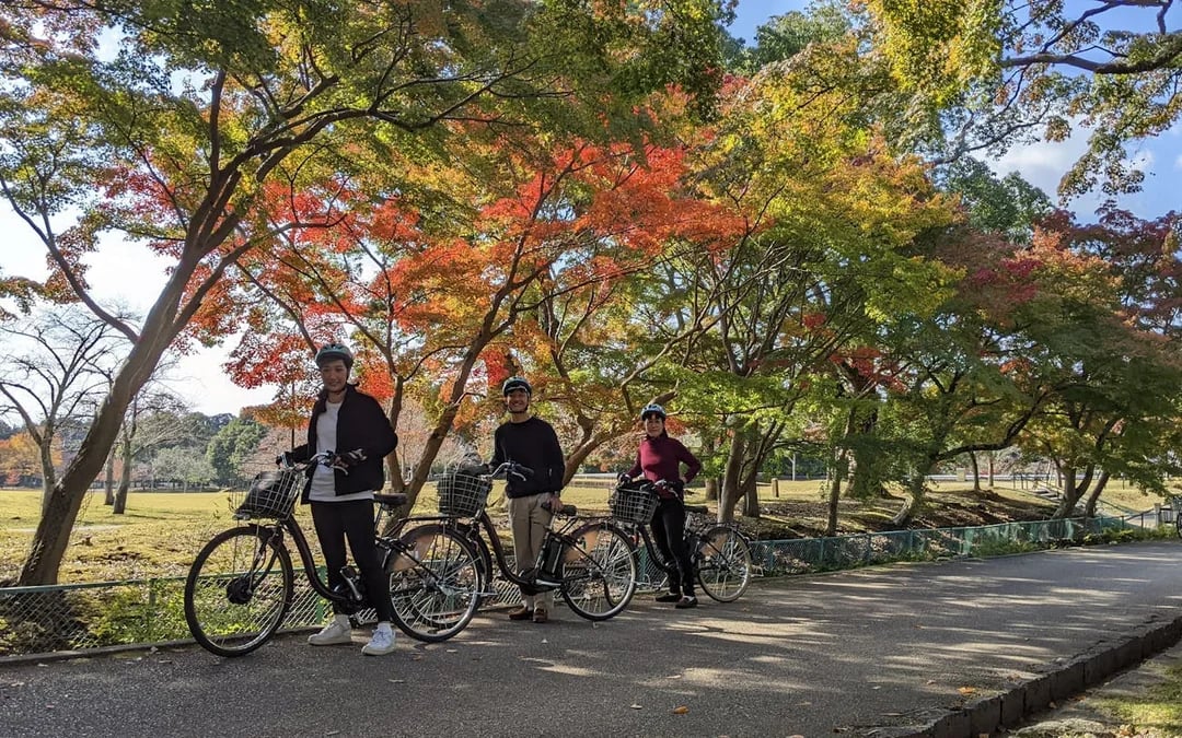 Nara Private Family E-Bike Tour with Lunch and Child Seats Included Image 8