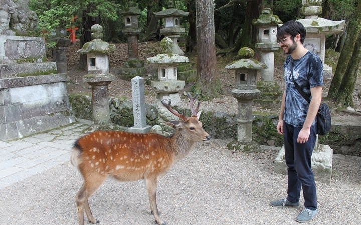 Nara Private Guided Cross Bike Tour with Admission Fees and Bike Gear Image 1