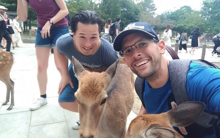Nara Private Guided Cross Bike Tour with Admission Fees and Bike Gear Image 2