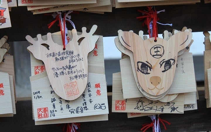 Nara Private Guided Cross Bike Tour with Admission Fees and Bike Gear Image 4