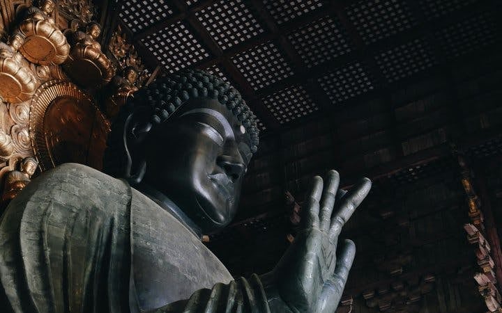 Nara Temples and Deer Private Guided Tour Image 4
