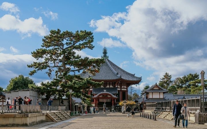 Nara Temples and Deer Private Guided Tour Image 6