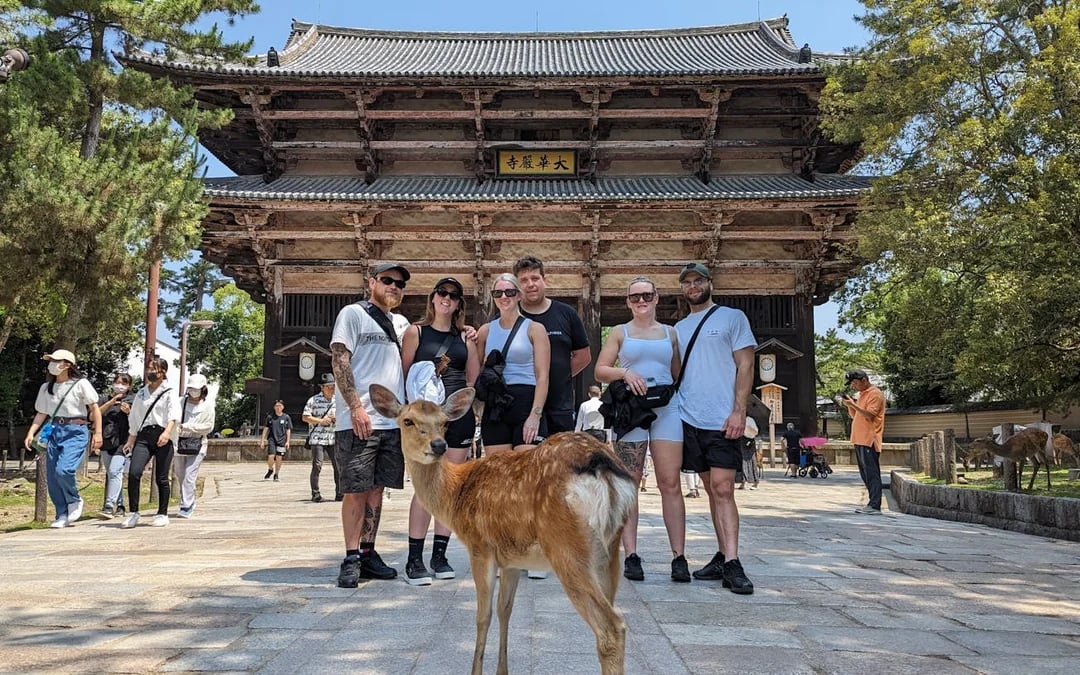 Nara Walking Tour: Todaiji Temple, Gangoji Temple, Deer Park and Tea Ceremony Image 1