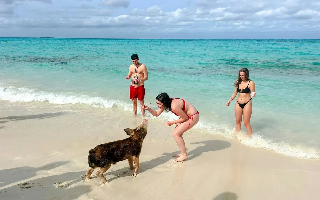 Nassau Party Catamaran Cruise to Private Beach Club with Snorkeling, Pigs & Turtles, and Lunch Image 3