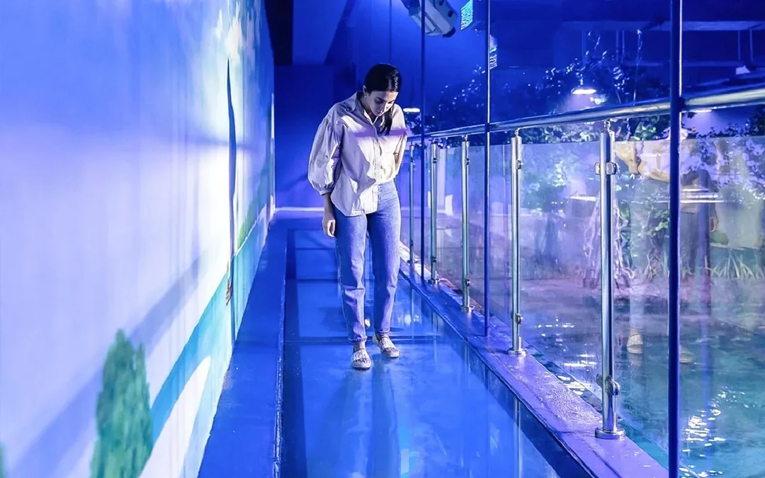 National Aquarium Abu Dhabi All Access Pass Tickets Image 2