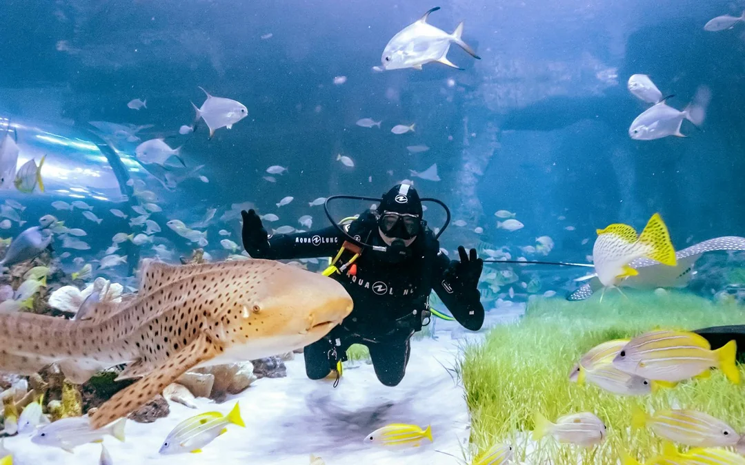 National Aquarium Abu Dhabi Tickets Image 12