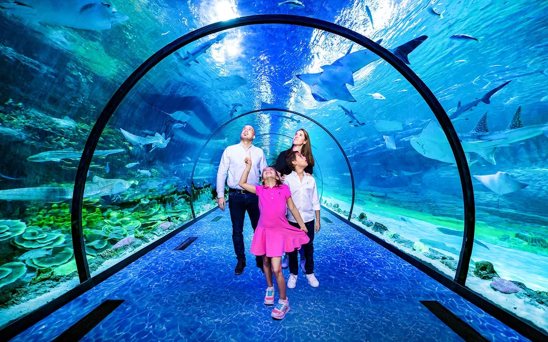 National Aquarium Abu Dhabi Tickets Image 3