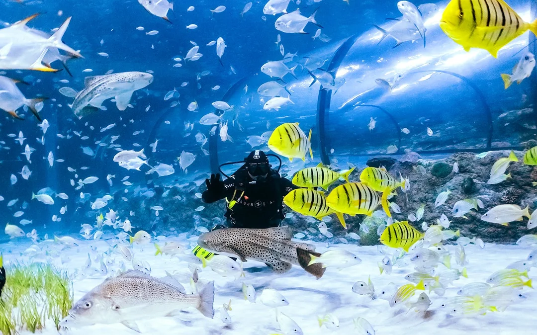 National Aquarium Abu Dhabi Tickets Image 4