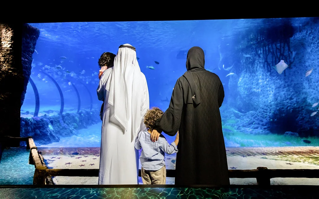 National Aquarium Abu Dhabi Tickets Image 5