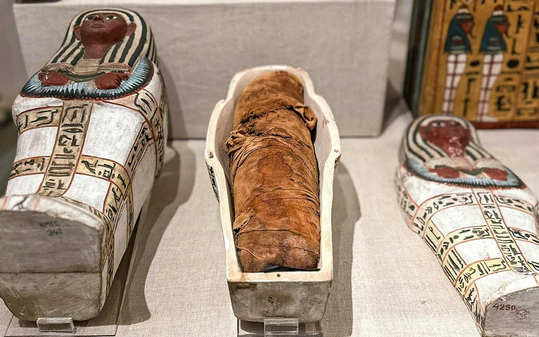 National Museum of Egyptian Civilization in Cairo: Skip-the-Line Entry Tickets Image 2
