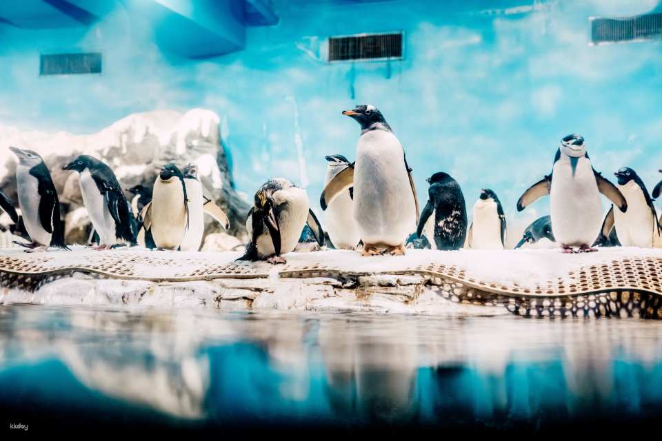 National Museum of Marine Biology & Aquarium, Pingtung | Tickets