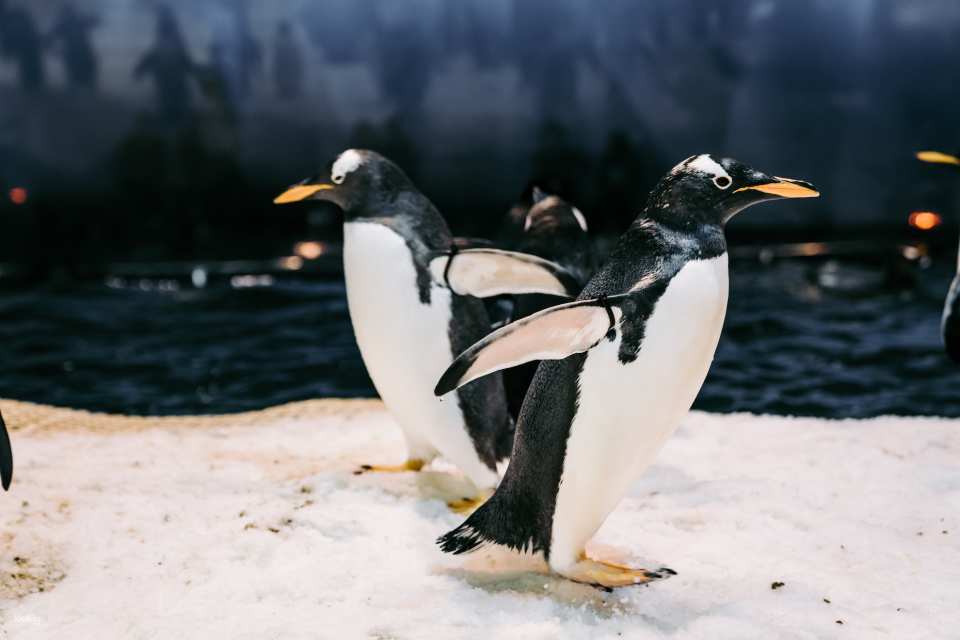 National Museum of Marine Biology & Aquarium, Pingtung | Tickets