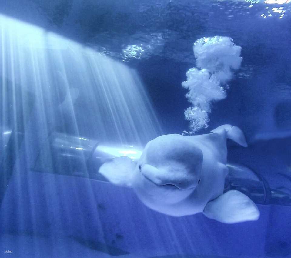 National Museum of Marine Biology & Aquarium, Pingtung | Tickets