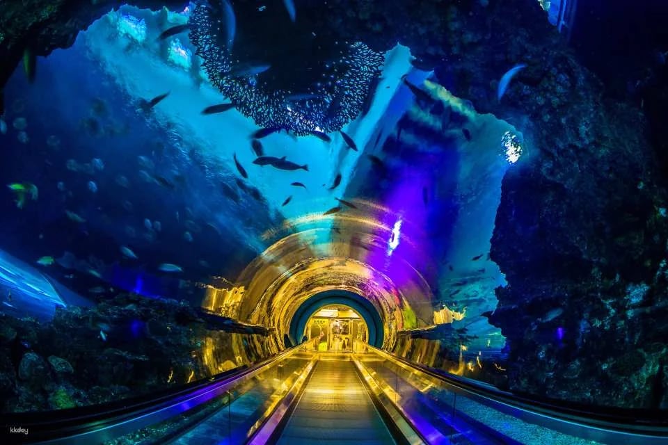 National Museum of Marine Biology & Aquarium, Pingtung | Tickets