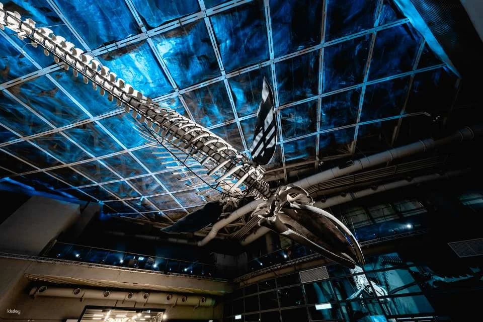 National Museum of Marine Biology & Aquarium, Pingtung | Tickets