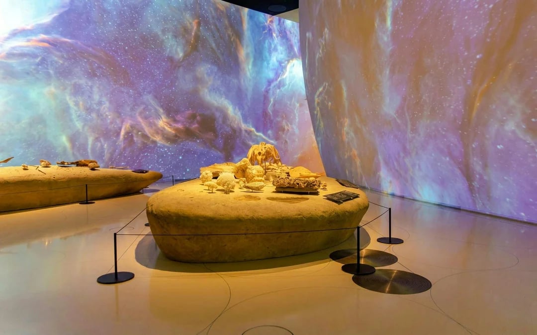 National Museum of Qatar Entry Ticket Image 2
