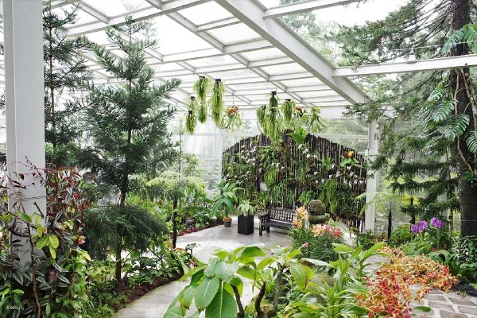 National Orchid Garden Admission Ticket | Singapore