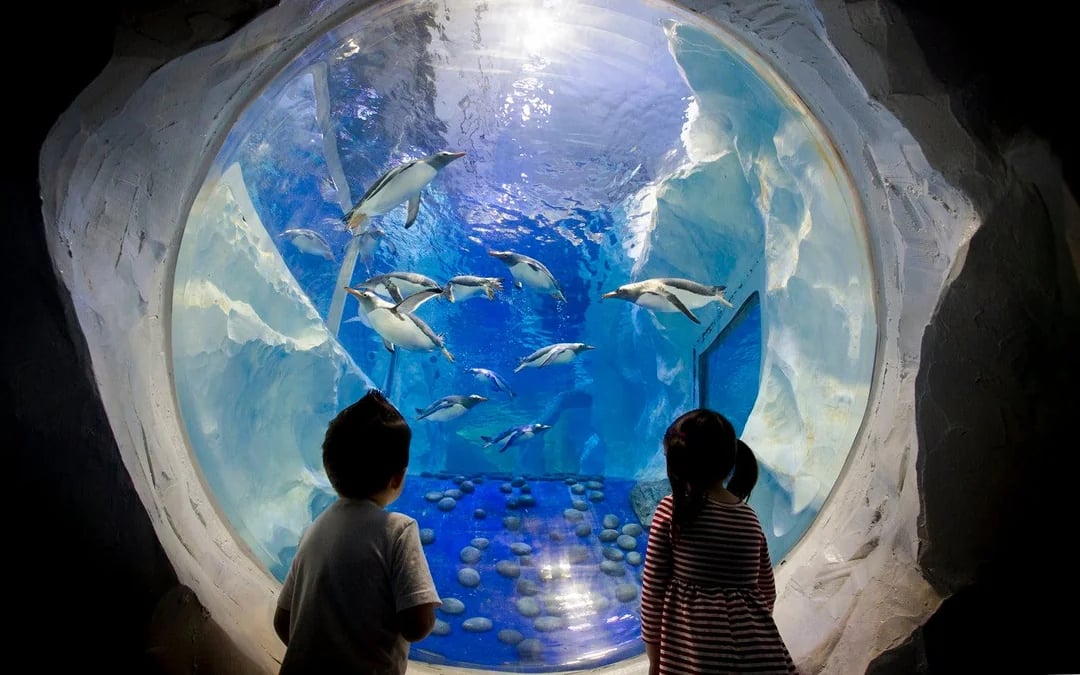 National SEA LIFE Centre Birmingham Tickets Image 1
